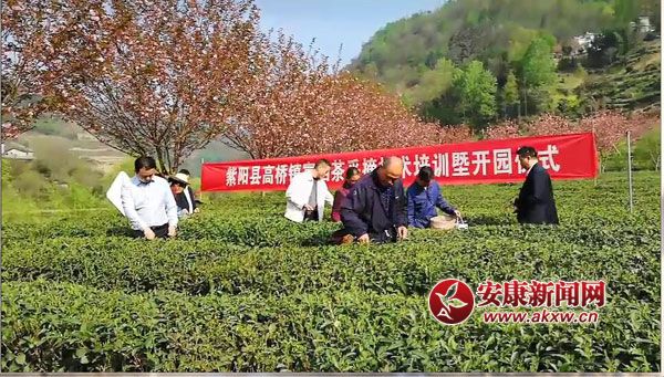 ��ꖸߘ��(zh��n)�����_������