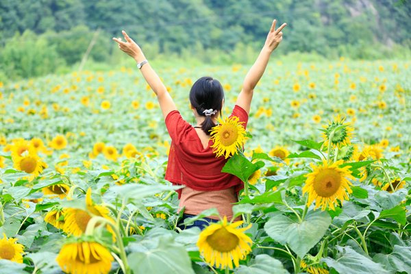 ʯȪ���տ�����