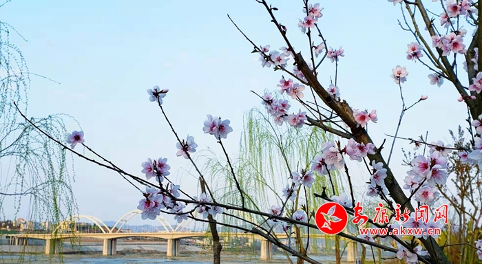 �һ����Ɨ�������