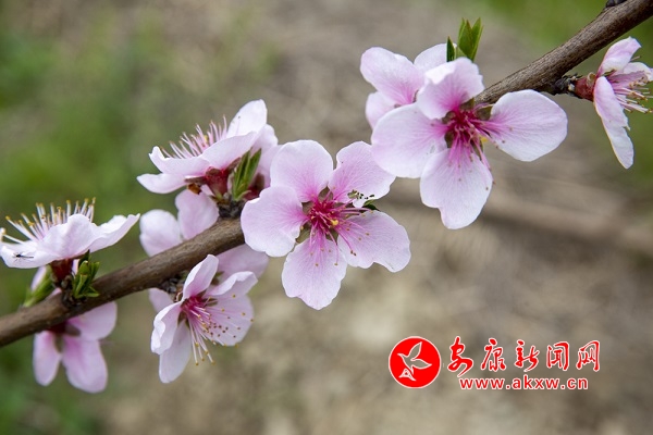 ��Ϫ�(zh��n)�P���� �L���@߅����