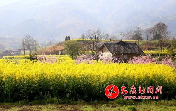 �����l(xi��ng)�������ڴ�����