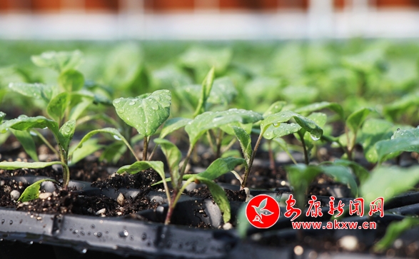 ���������r