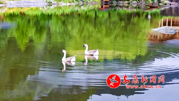 �G�����?n��i)��?sh��)�箋