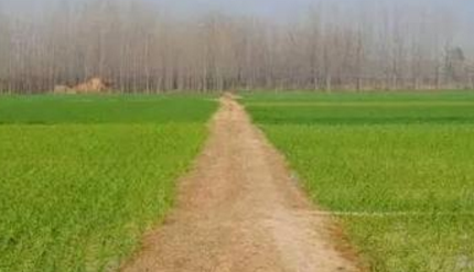 ���E����ꐷ���