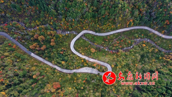 ƽ������ɫ������