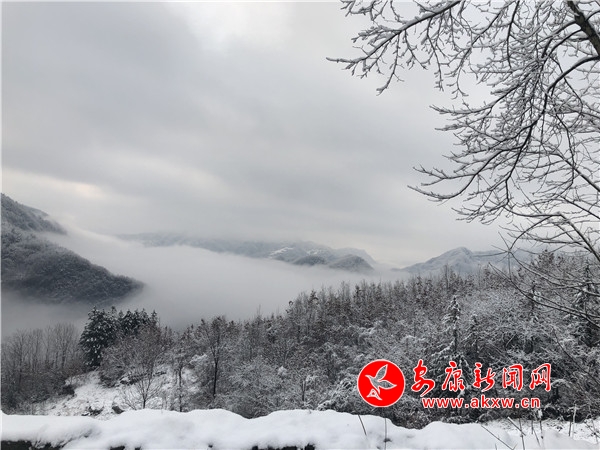 Ѯ�(y��ng)��ѩ