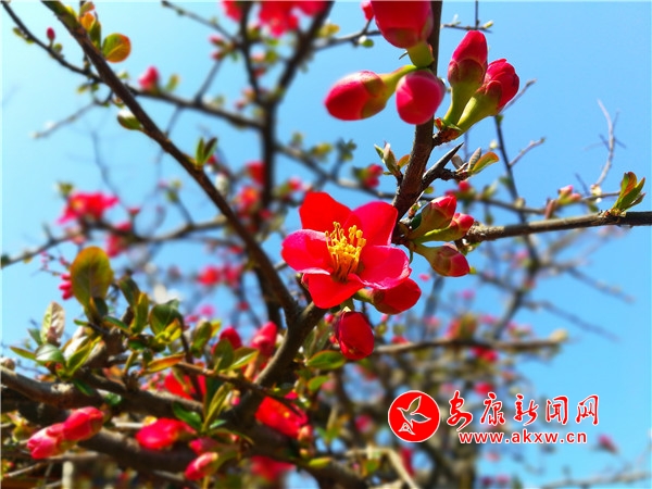 �h��������@��ů���_