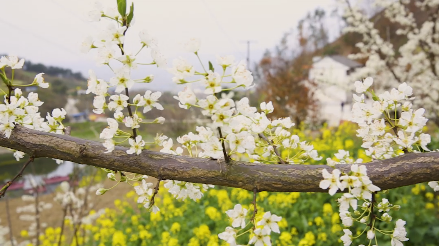 �������