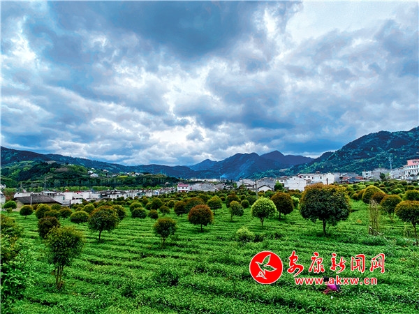 �����ժ�r