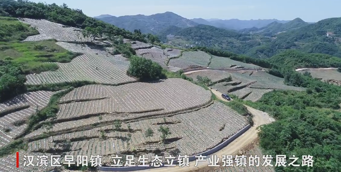 �h�I�^(q��)���(y��ng)�(zh��n)�������l(f��)չ����(d��o)�a(ch��n)�I(y��) ����(sh��)�l(xi��ng)�����d���A(ch��)