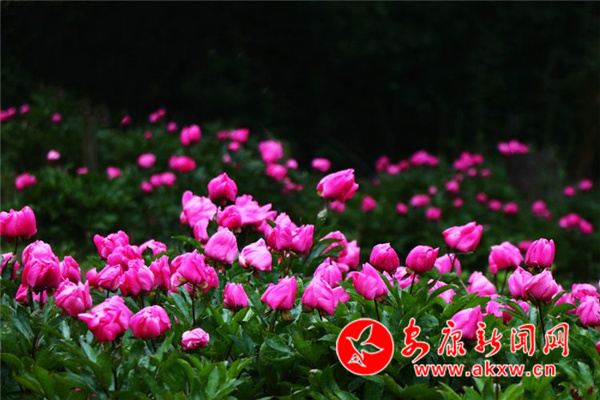 Ѯꖣ���ˎ���_���Gɽ��