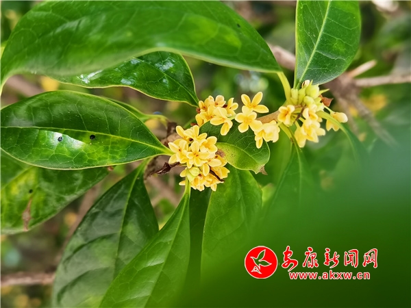 ���¹��h��r(sh��) ���˻�����M(m��n)��