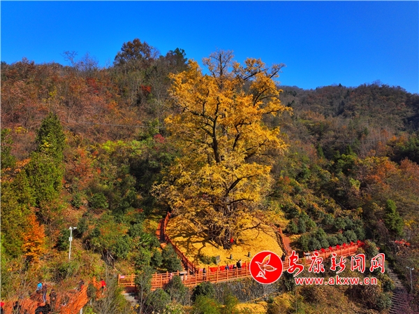 �׺ӿh�|�¹��y�Ә�(sh��)ӭ��(l��i)����^(gu��n)�p��