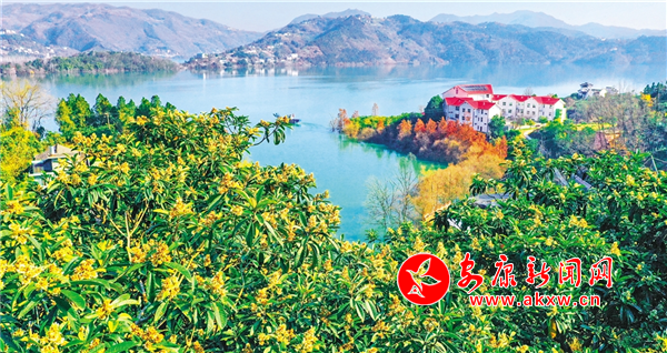 孺��f(w��n)��������ӭ��(l��i)ʢ����