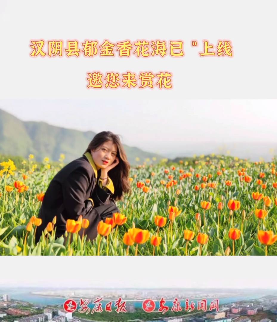 �hꎿh���u�(zh��n)�|�Ӵ�����İٮ�������NȻ�`��