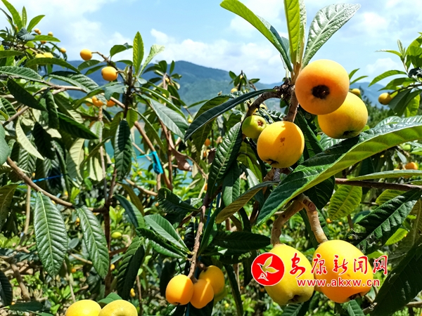 孺����˝M֦�^