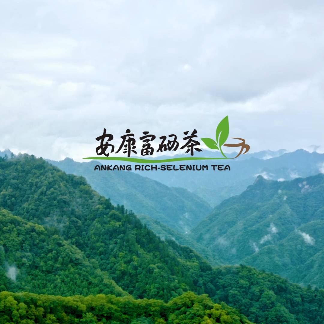 ��������������Ƭ��