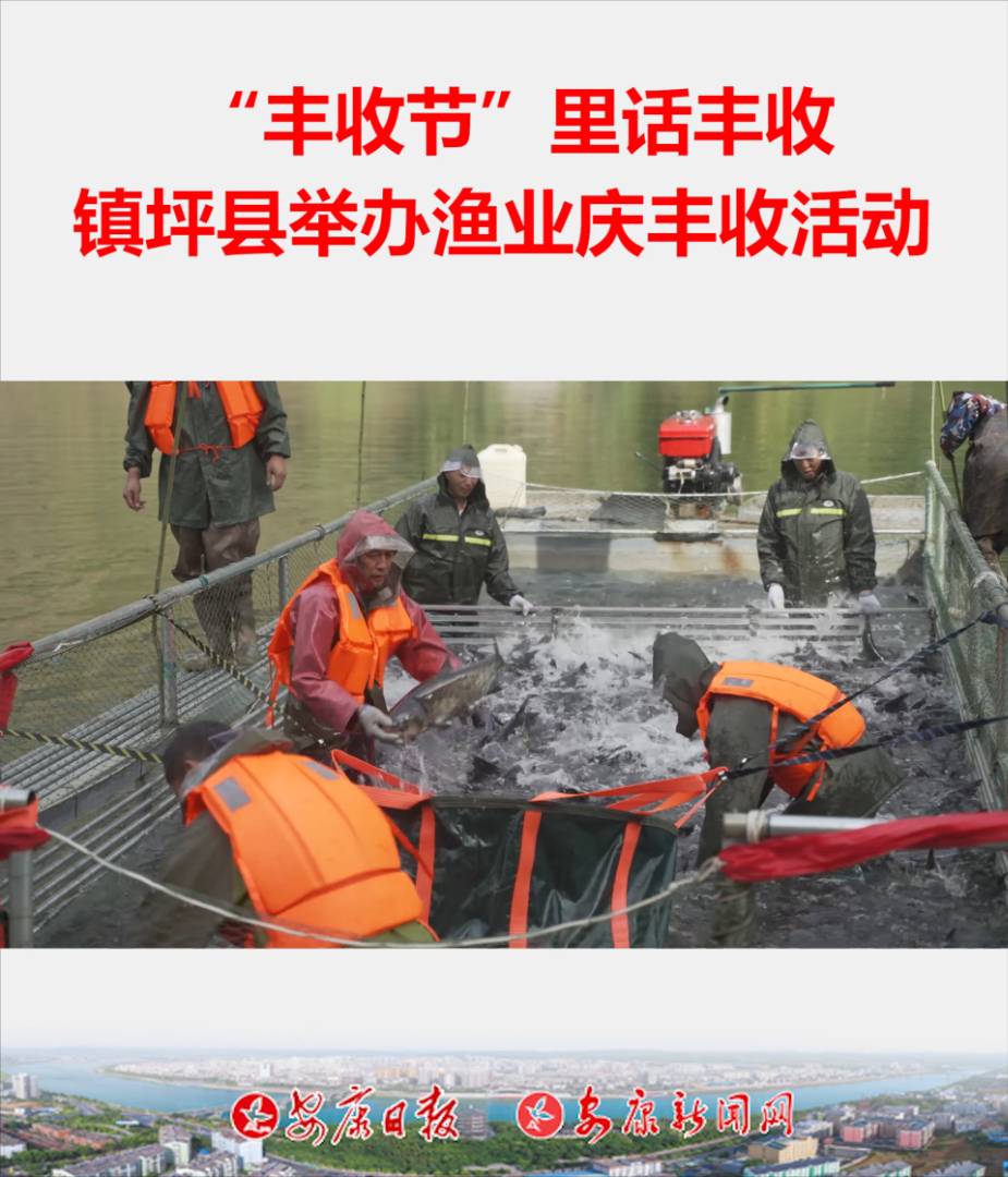 �Ї�(gu��)�r(n��ng)���S�չ�(ji��)������(zh��n)ƺ�������(zh��n)��ǧɽ���O�I(y��)�S�ջ��(d��ng)�e��