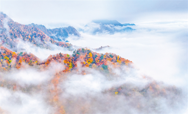 ����ʯȪ �������F