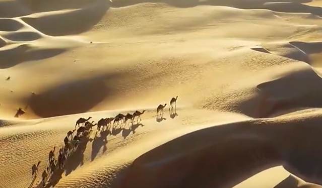 ��ͨ�򷱘s֮·����һ�������ͬ�С�һ��犌�(d��o)ҕ