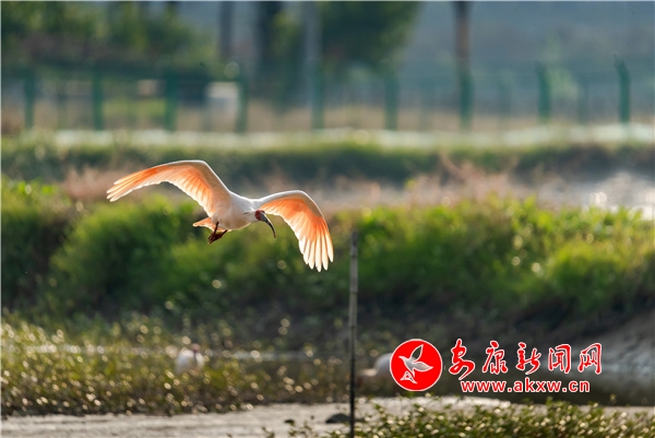 50��ֻ���q���򿨡��h��p��ǧ���������^(q��)