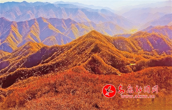 �����ɫ���؎X