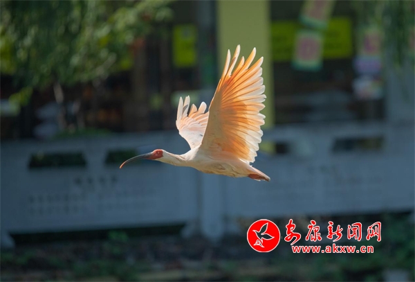 �hꎣ�����r(sh��)��(ji��)���q��