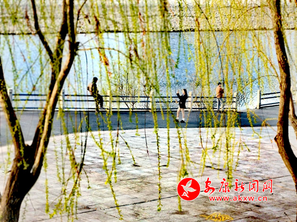 ���;���