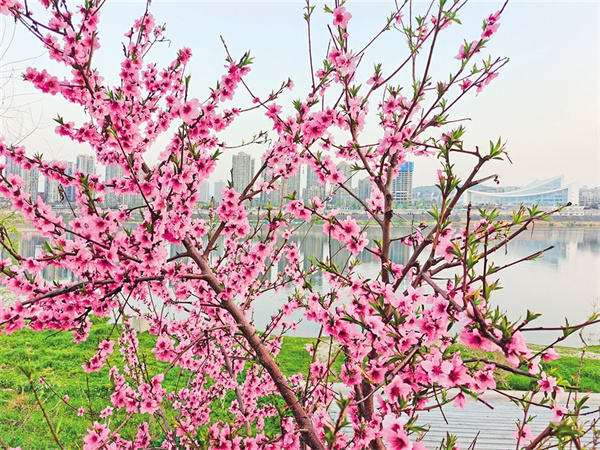 һ����ˮһ��Ԋ(sh��)