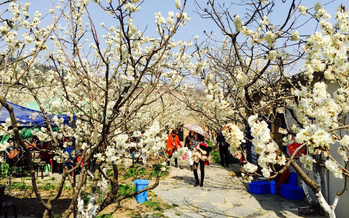 �����h�I