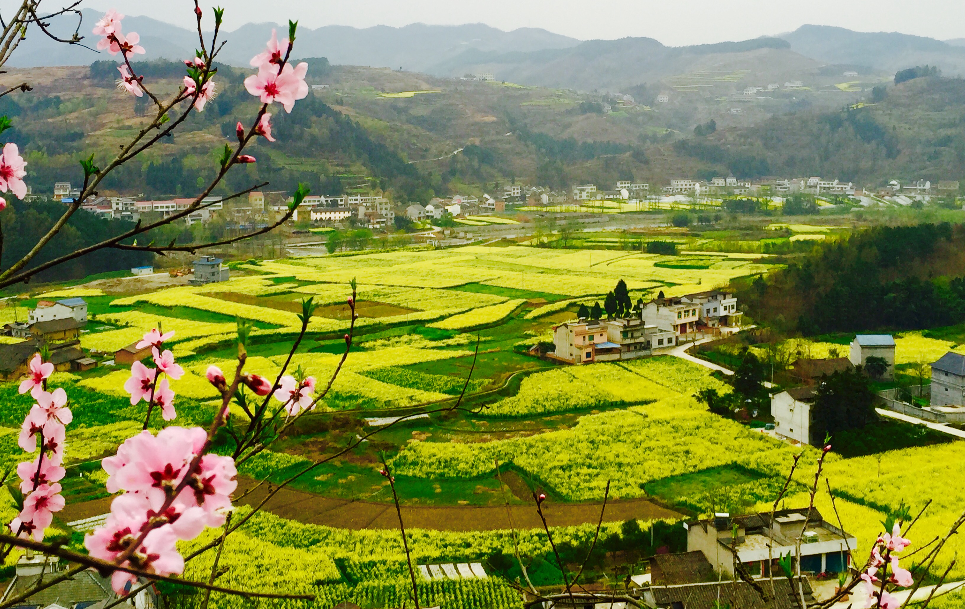 �������S����p����