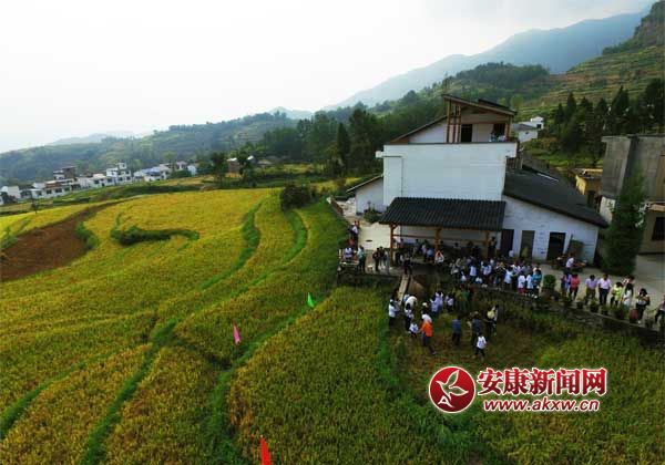 ��������֮--�h����u�P�ߵ��㼾��һ��