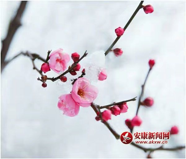 ���L�L�w���������l��һ���փɰ룿