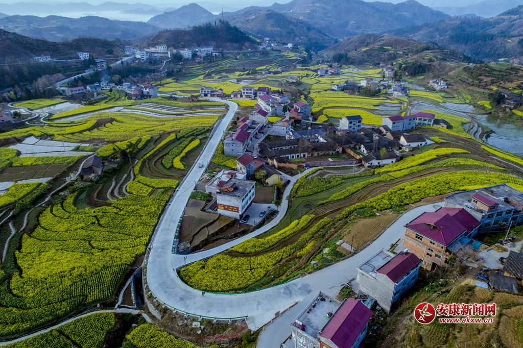 ���P�ߴ�ɫ���zӰ��Ƥ�¾S���Ԓ���h��13325355508���Ĕz�����ʡ�hꎿh���u�(zh��n)�P�߹������� - ����.JPG