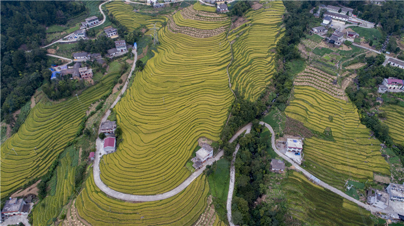 ��ɽ�L(f��ng)��