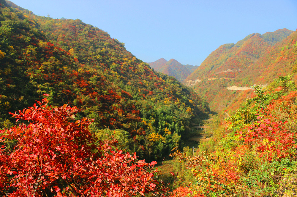 ����׌üt�~��(ji��)������