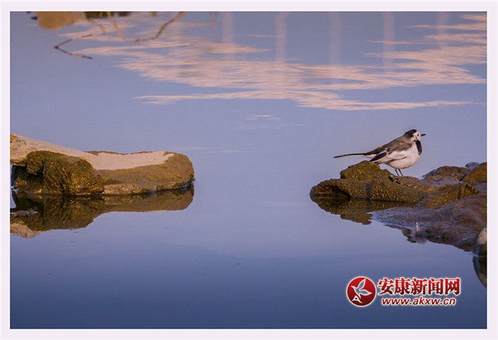 ��ˮ��һɫ���zӰ��Ƥ�¾S���f��������Ƭ��2017��12��3�������ʡ�����Нh�����Ĕz����չ�F(xi��n)�����õ����B(t��i)�h(hu��n)����(li��n)ϵ�Ԓ��