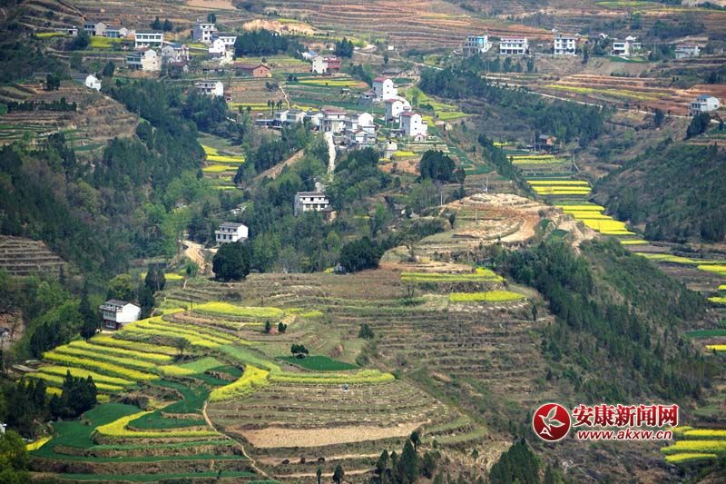 �D2.�����������̎���(gu��)��(n��i)ꑸ�������(d��)�߁���ɽ����ɽ����ɽ��������ص�6�N���ε�ò���c(di��n)�����˷�����Ϣ���@����˂����ò����