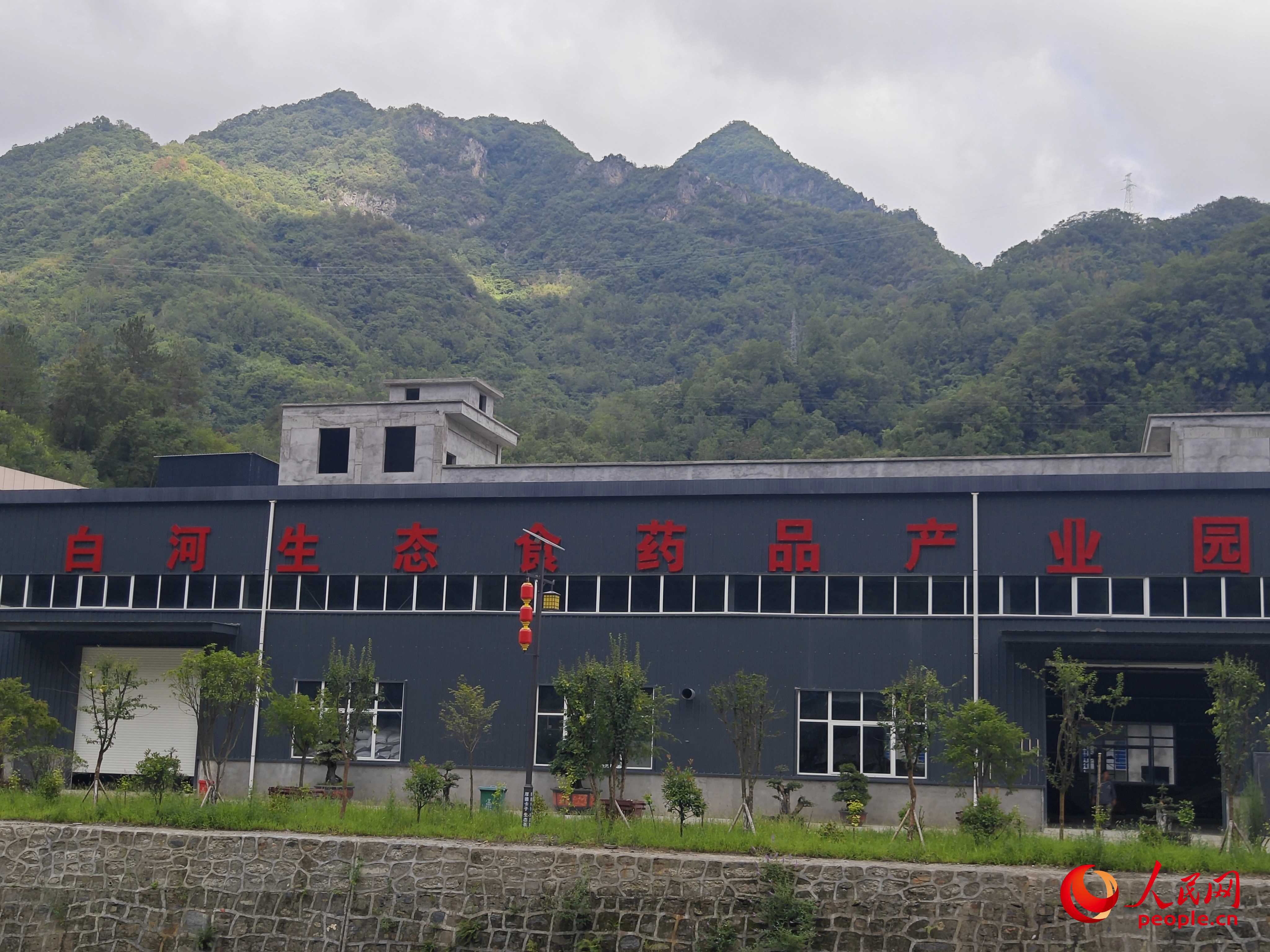 卡子鎮(zhèn)新建的社區(qū)工廠。人民網(wǎng)記者 黃鈺攝