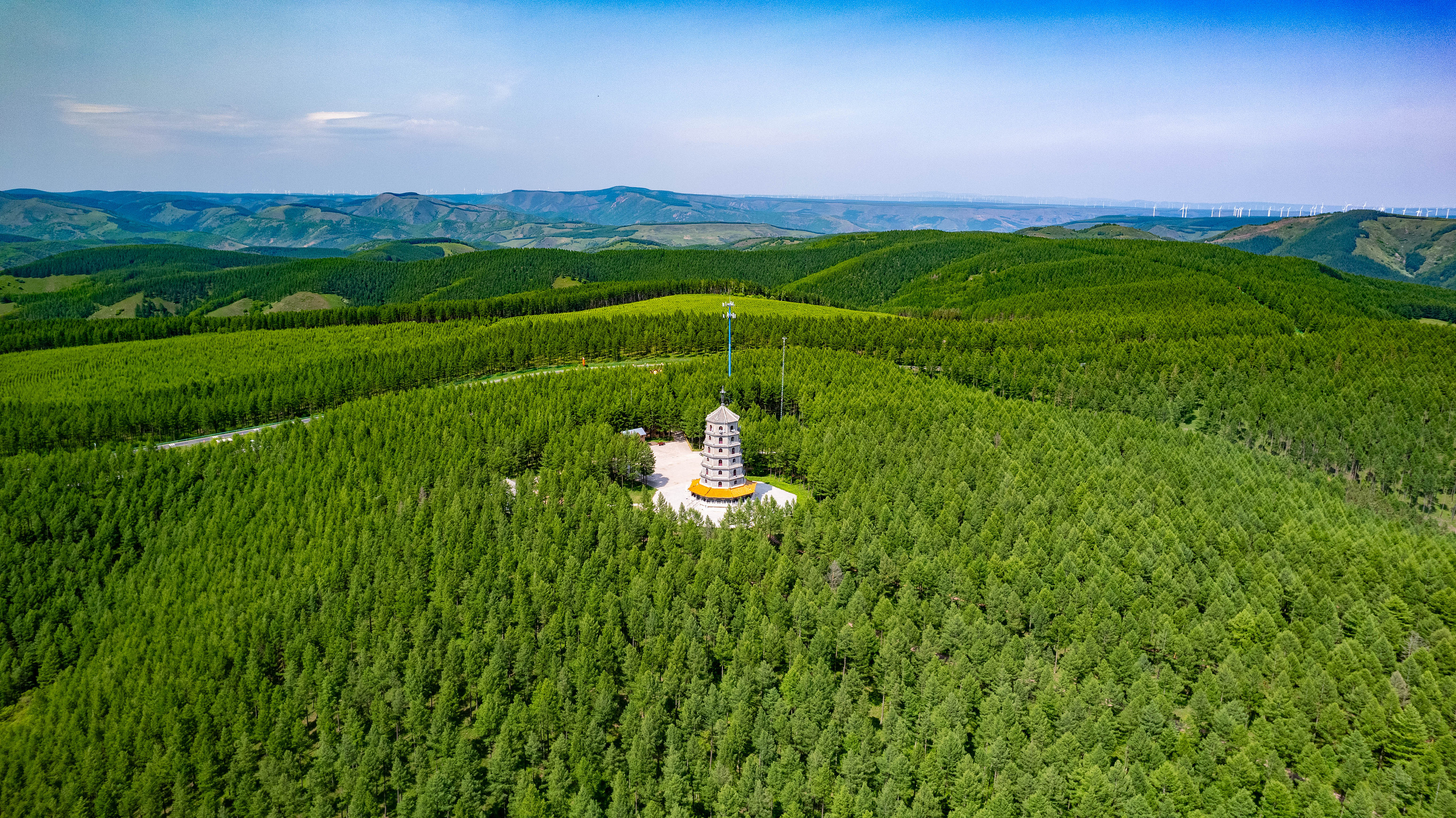 2025年6月11日，河北承德，塞罕壩林海浩渺。